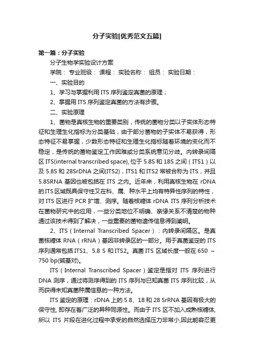 分子实验[优秀范文五篇]