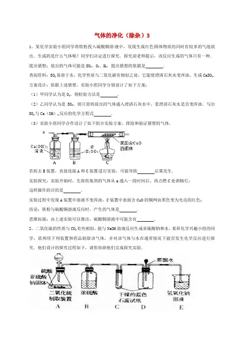 吉林省吉林市中考化学复习练习 气体的净化(除杂)3(无答案) 新人教版