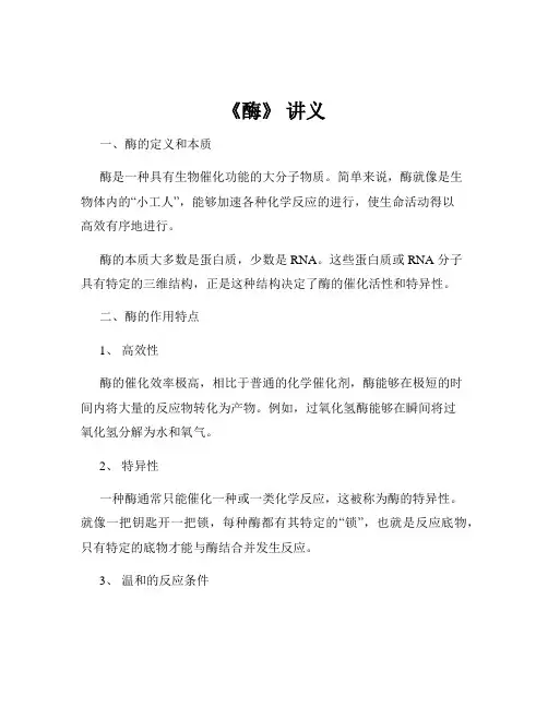 《酶》 讲义