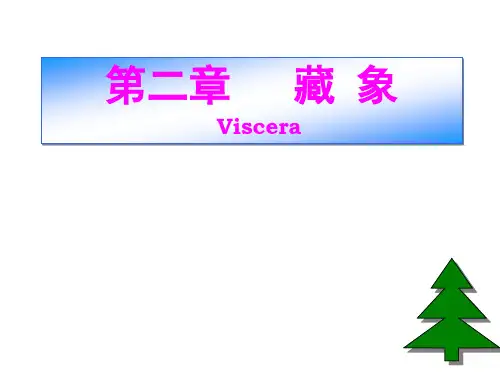 中医  藏象学说