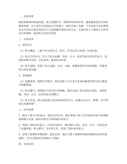 软文_实训报告