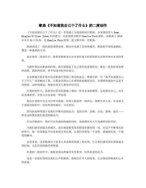 歌曲《不知道我自己干了什么》的二度创作