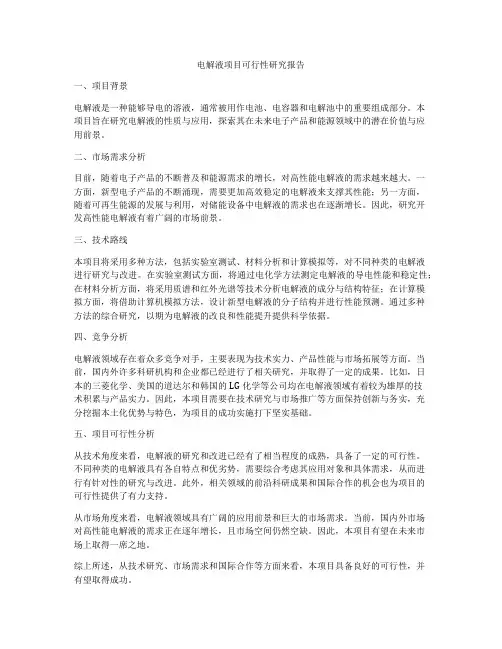 电解液项目可行性研究报告