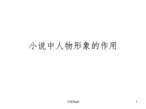 小说人物形象作用ppt课件