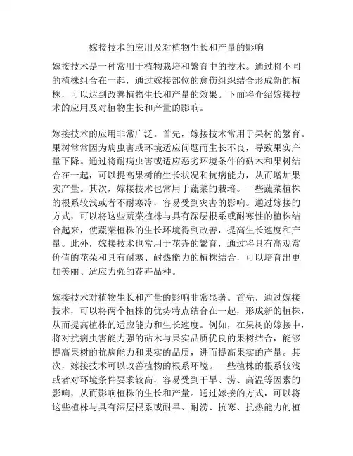 嫁接技术的应用及对植物生长和产量的影响