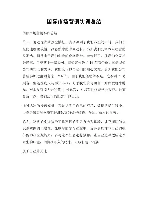 国际市场营销实训总结