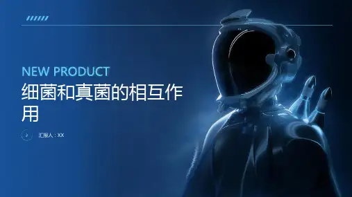 细菌和真菌的相互作用