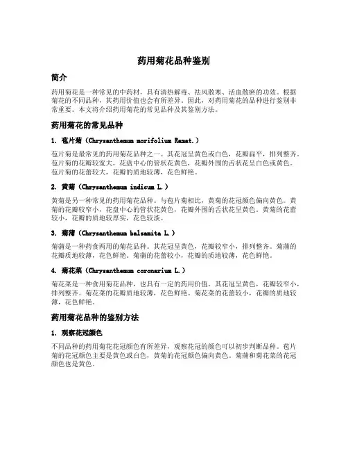 药用菊花品种鉴别