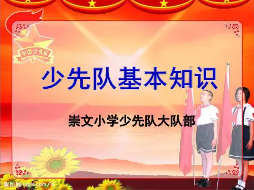 中队辅导员培训课件
