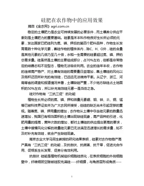 硅肥在农作物中的应用效果