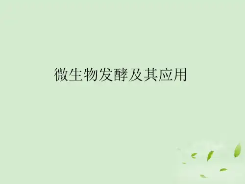 高中生物 3.1《微生物发酵及其应用》课件1 新人教版选修2