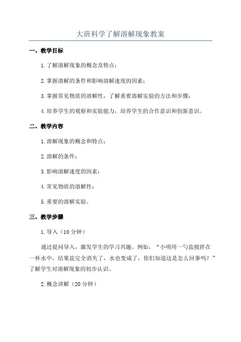 大班科学了解溶解现象教案