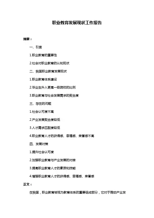 职业教育发展现状工作报告