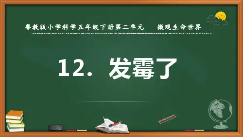 最新粤教版科学五年级下册《发霉了》优质课件