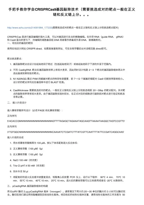 手把手教你学会CRISPRCas9基因敲除技术（需要挑选成对的靶点一般在正义链和反义链上分。。。