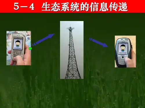 生态系统的信息传PPT课件