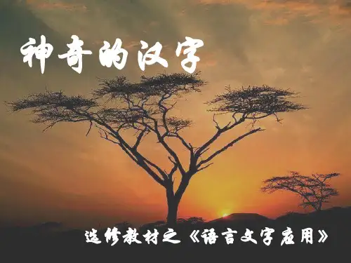 《神奇的汉字》页PPT文档
