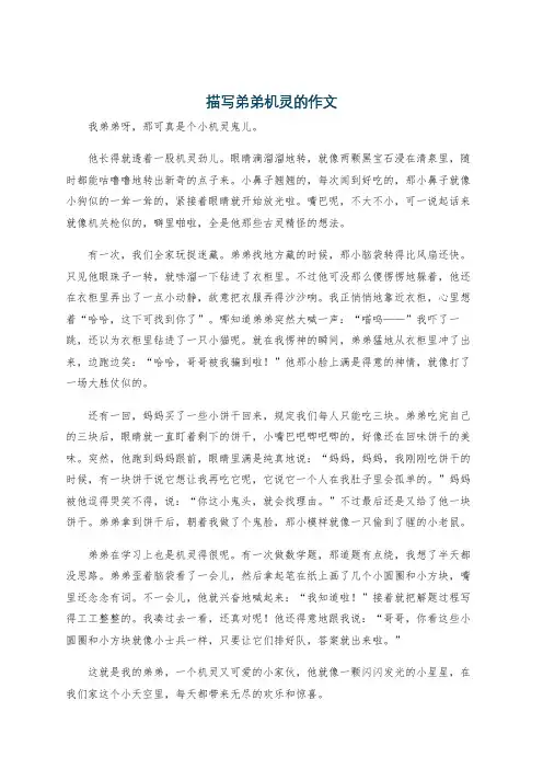 描写弟弟机灵的作文