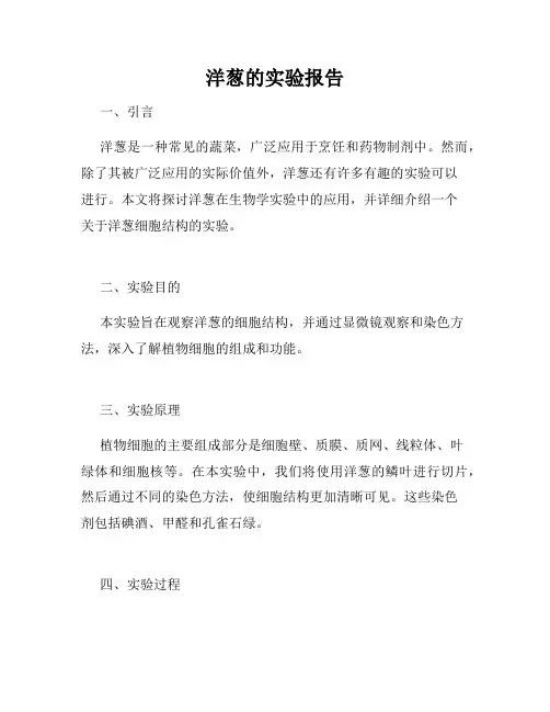 洋葱的实验报告