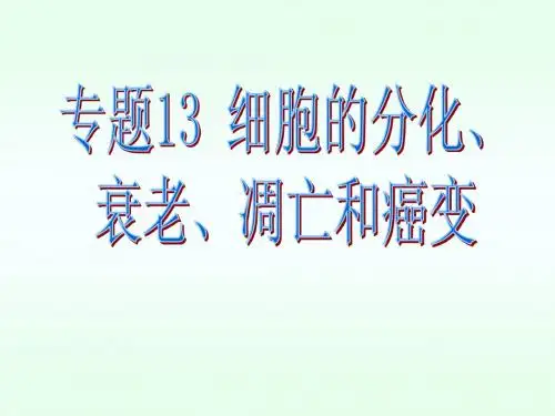 高三生物一轮复习 专题13 细胞的分化、衰老、凋亡、癌变