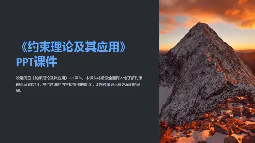 《约束理论及其应用》课件