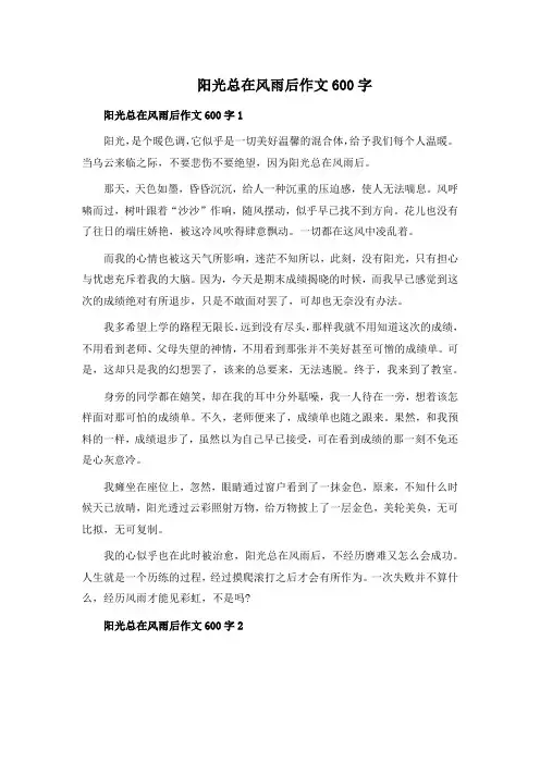 阳光总在风雨后作文600字精选7篇