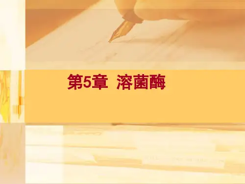 溶菌酶
