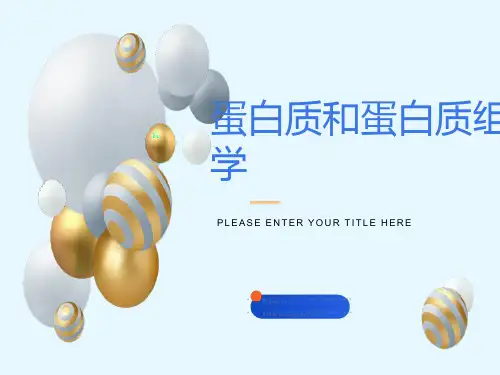 蛋白质和蛋白质组学