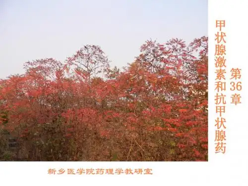 第章甲状腺激素及抗甲状腺药物ppt课件