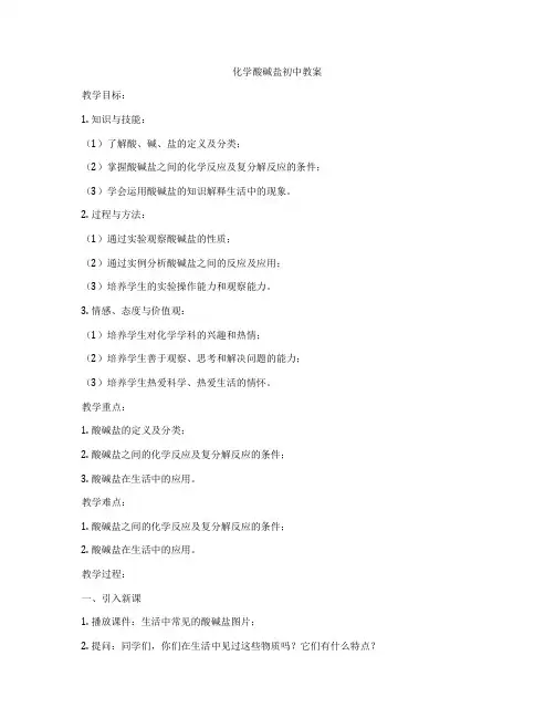 化学酸碱盐初中教案