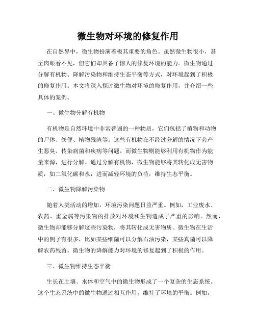 微生物对环境的修复作用