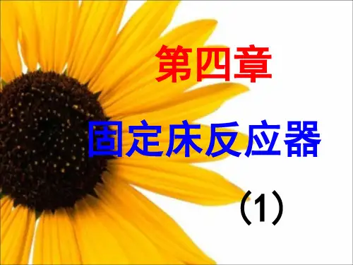固定床反应器()资料