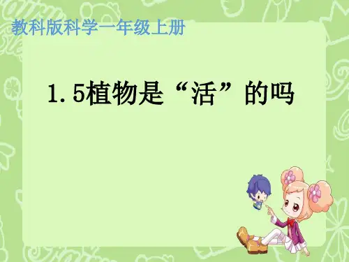 一年级上册科学课件15植物是活的吗 (9) l 教科版 31