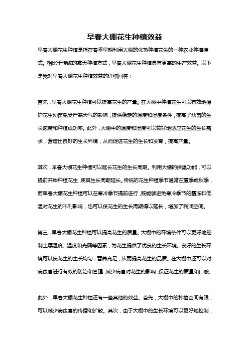 早春大棚花生种植效益