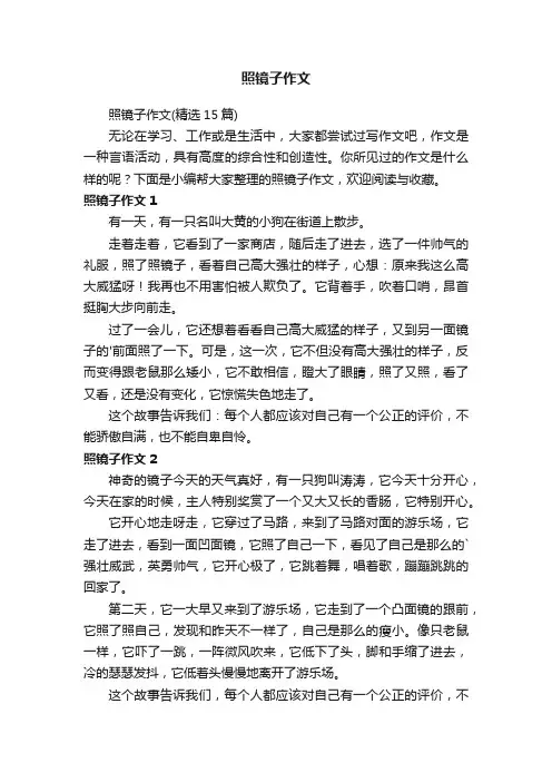 照镜子作文