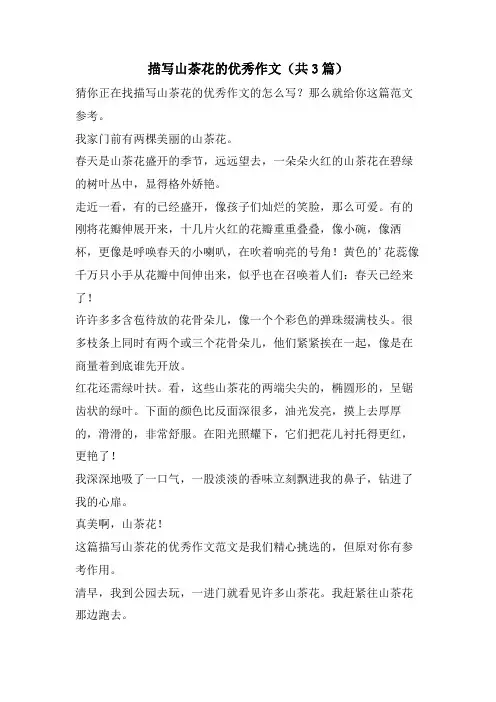 描写山茶花的优秀作文(共3篇)