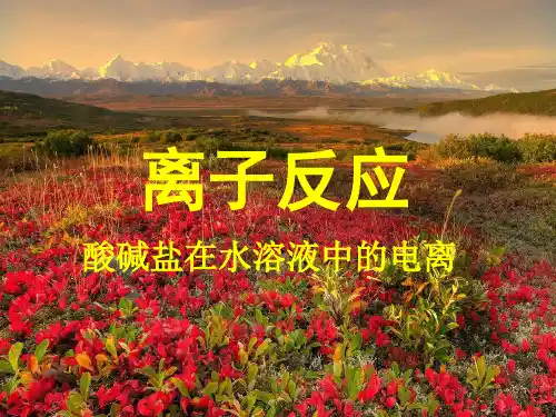电解质和非电解质 ppt课件