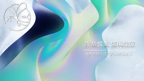 2022地产项目示范区开放 (聚势蝶变 盛境绽放主题)活动策划方案-39P