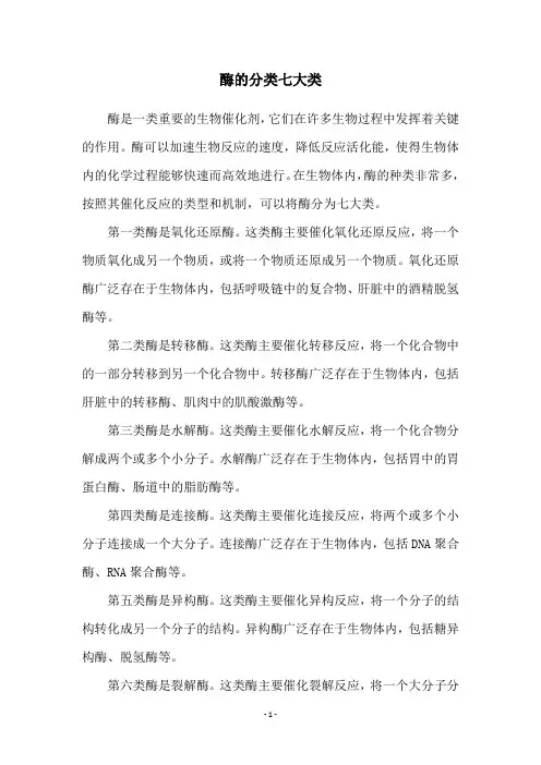 酶的分类七大类