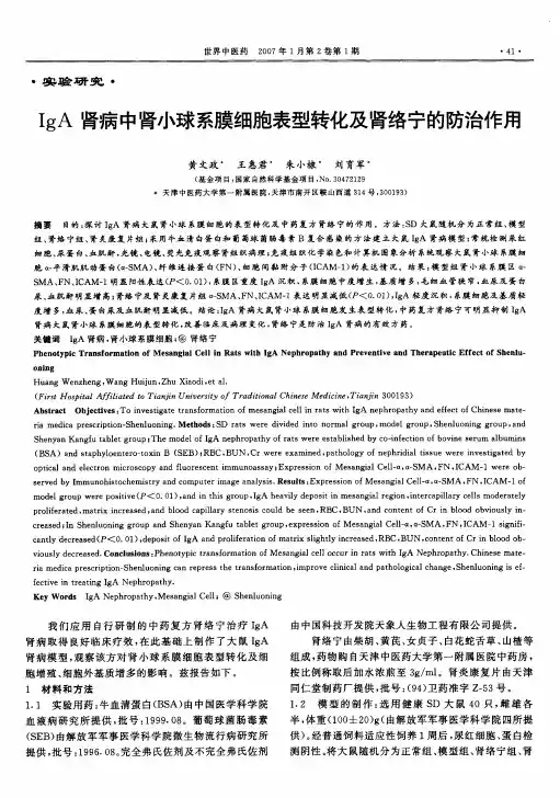 IgA肾病中肾小球系膜细胞表型转化及肾络宁的防治作用