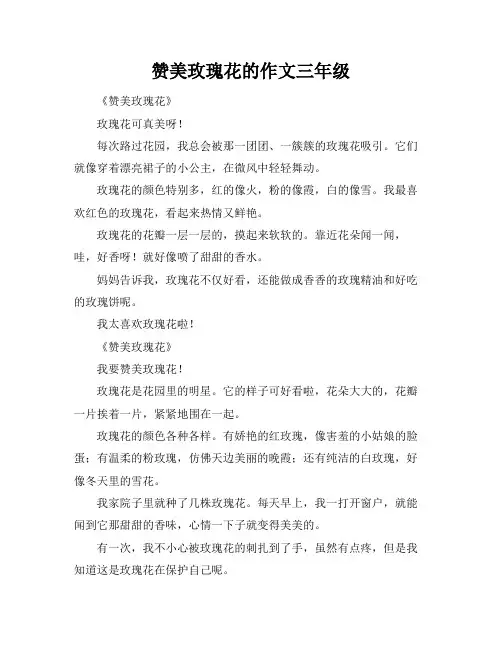 赞美玫瑰花的作文三年级