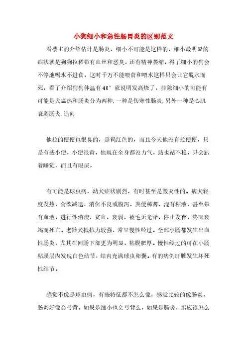 小狗细小和急性肠胃炎的区别范文