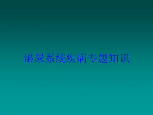 泌尿系统疾病专题知识培训课件