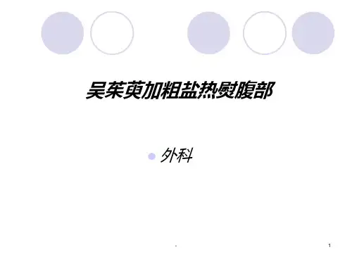 吴茱萸热熨PPT课件