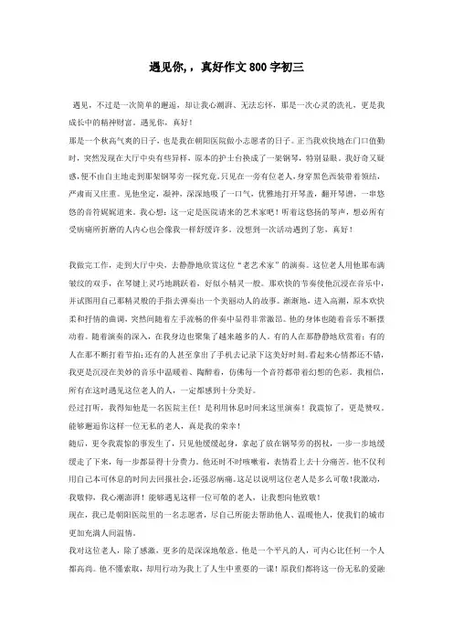 遇见你,,真好作文800字初三