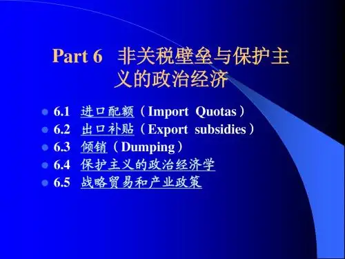 国际经济学6