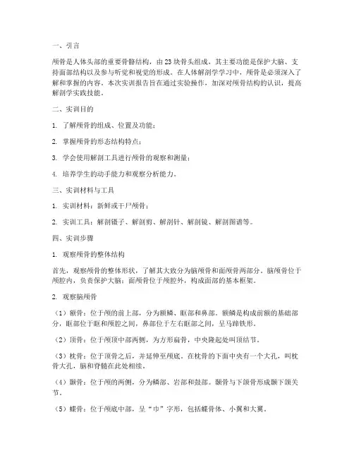 人体解剖学实训报告颅骨