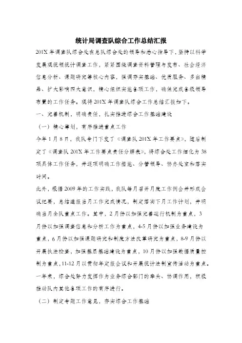 统计局调查队综合工作总结汇报.docx