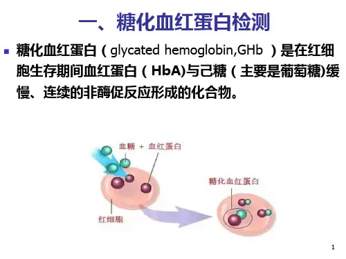 517.1.4糖化血红蛋白检测糖化清蛋白检测