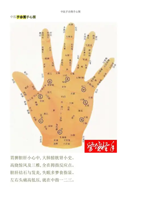 中医手诊图手心图